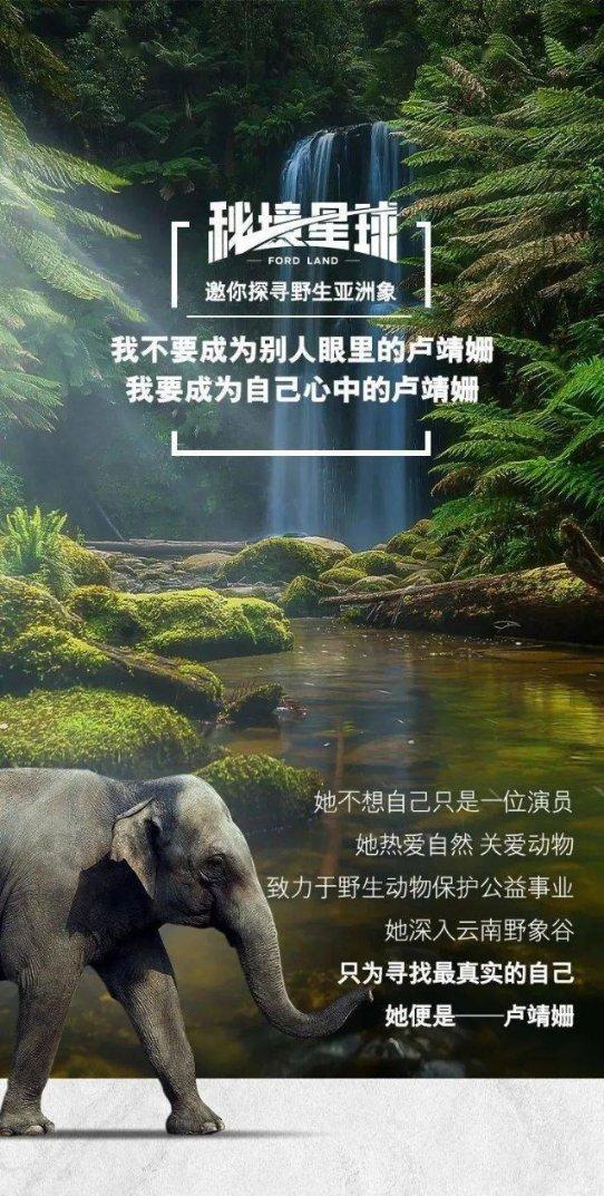逃离狂热地带