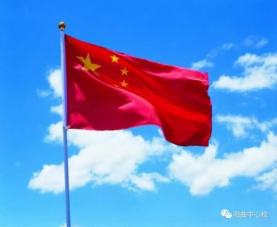 时尚POLO衫